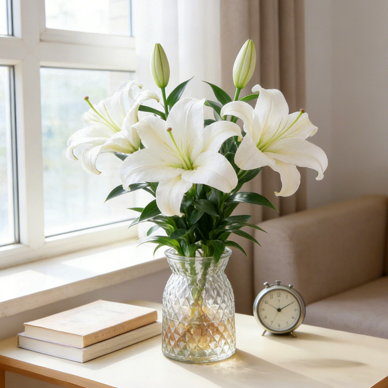 香水百合水培客厅插花材送礼水养花卉带花苞粉色白百合办公室植物