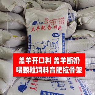 羔羊开口料小羊断奶前到体重40多斤 细颗粒 牛犊小羊羔通用正品
