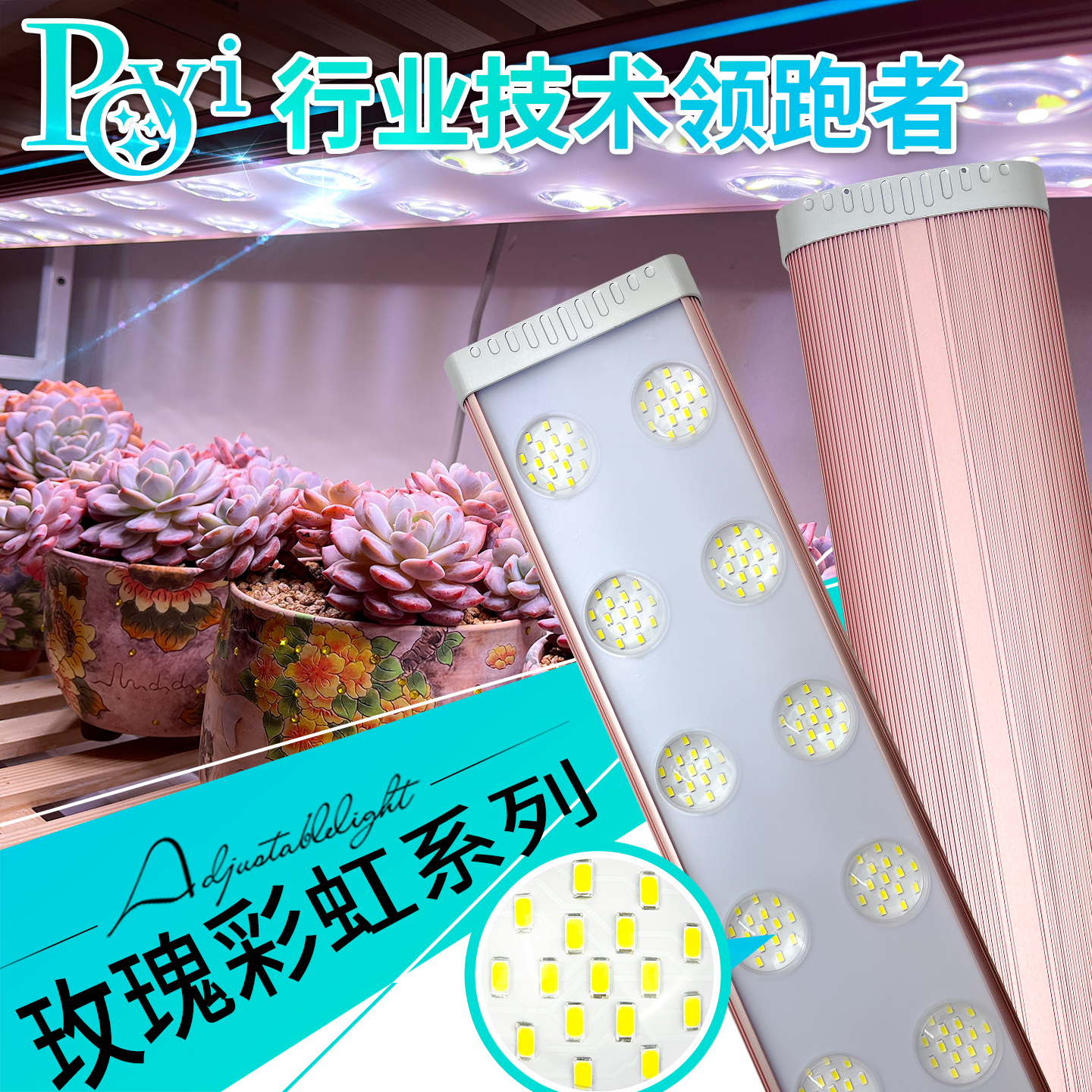 植物生长多肉补光上色鹿角蕨绿植