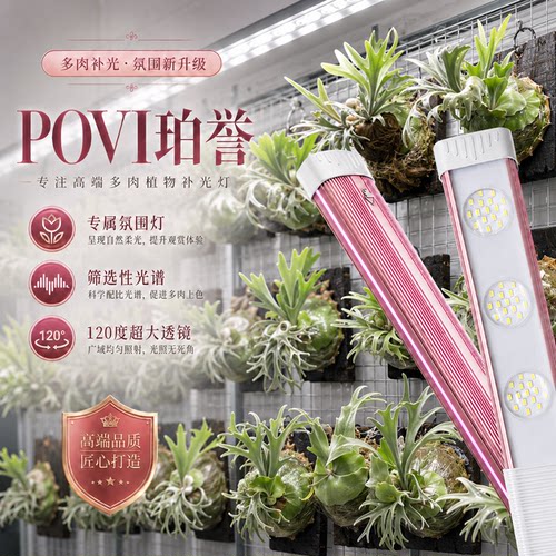 植物生长多肉补光上色鹿角蕨绿植