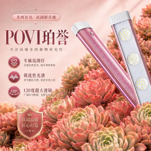 珀誉多肉补光防徒上色绿植补光灯