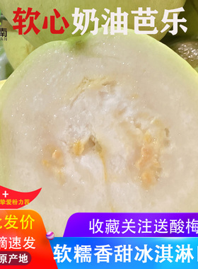 广西软糯软心芭乐5斤水果现摘当季奶软白番石榴新鲜芭乐老树果