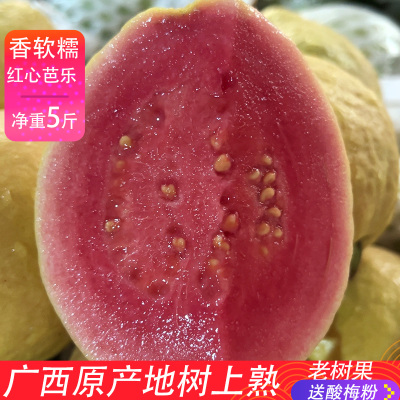 热抢！广西真软糯红心芭乐5斤装