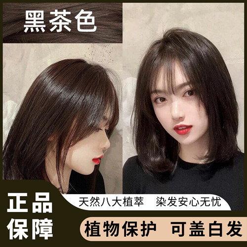 施华蔻泡沫染发剂自己染黑紫色女