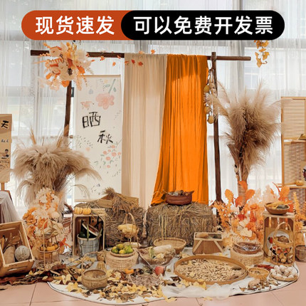 幼儿园秋天环创晒秋场景布置植物自然角造景装饰材料丰收主题道具