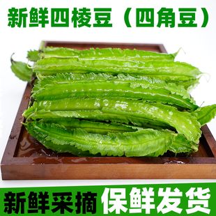 鲜嫩四角豆绿色龙豆新鲜蔬菜四棱豆皇帝豆龙角豆季节