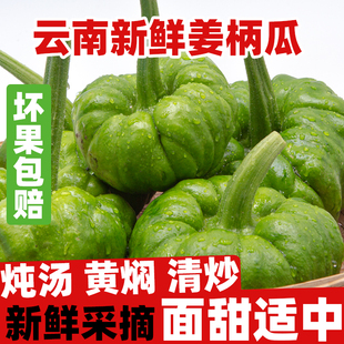 云南新鲜姜柄瓜 小麦瓜小瓜姜饼瓜新鲜蔬菜嫩南瓜甜瓜小绿瓜包邮
