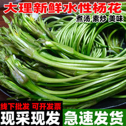 水性杨花 云南特产 海菜花 泸沽湖丽江海菜云南野菜 大理特产洱海