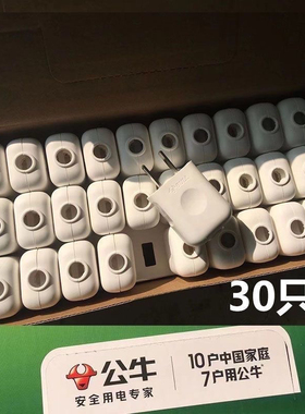 30只1盒公牛两脚插头10A电线二头接线两孔两角项电源2极10L1G多用