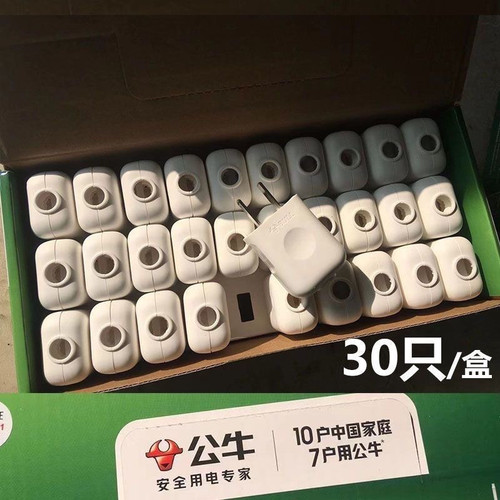 30只1盒公牛两脚插头10A电线二头接线两孔两角项电源2极10L1G多用