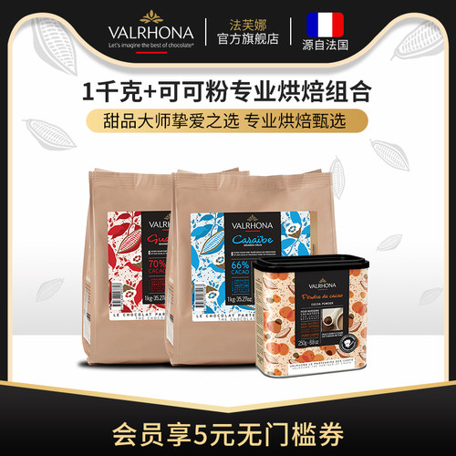 原料法国进口巧克力豆币家庭蛋糕