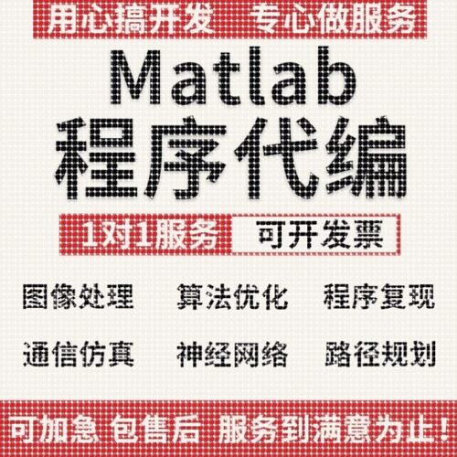 matlab代码帮做代编程仿真通信图像处理深度学习神经网络程序代编