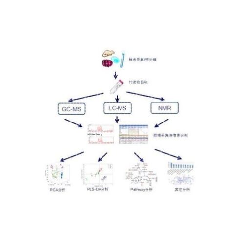 LCMS检测 液相色谱质谱分析检测 代谢组学 脂质组学 蛋白组学