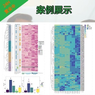 生信分析实验外包测序分析火山图绘制MR分析数据库挖掘科研