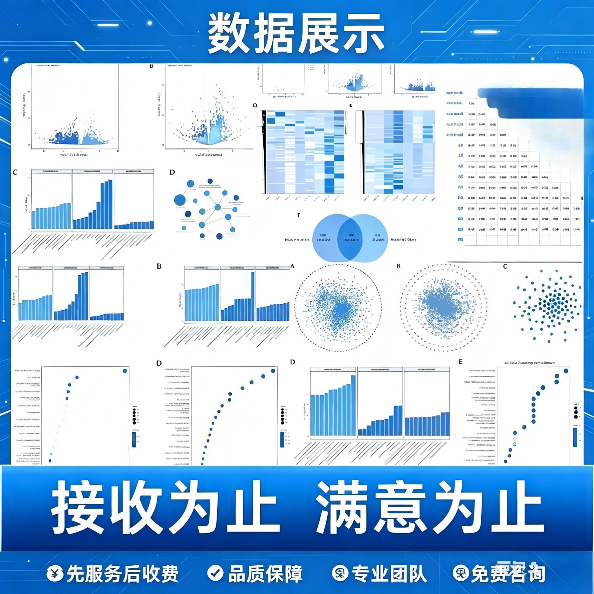 空间转录组分析 单细胞测序 数据挖掘 细胞注释 marker分析