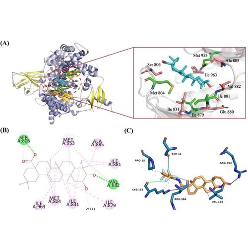 分子对接蛋白对接AlphaFold3蛋白预测互作分析