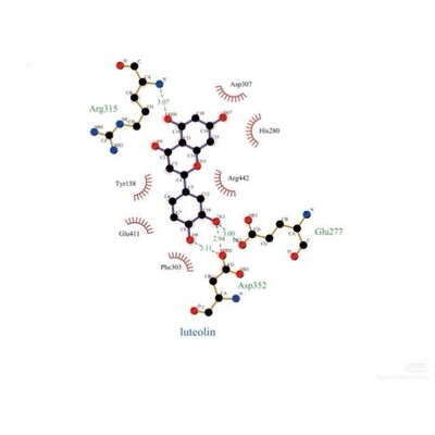 分子对接二维三维可视化作图
