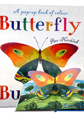 蝴蝶英文原版绘本 Butterfly Butterfly A Book of Colors 儿童阅读昆虫认知小惊喜精装全彩图画洞洞书有立体页Petr Horáček