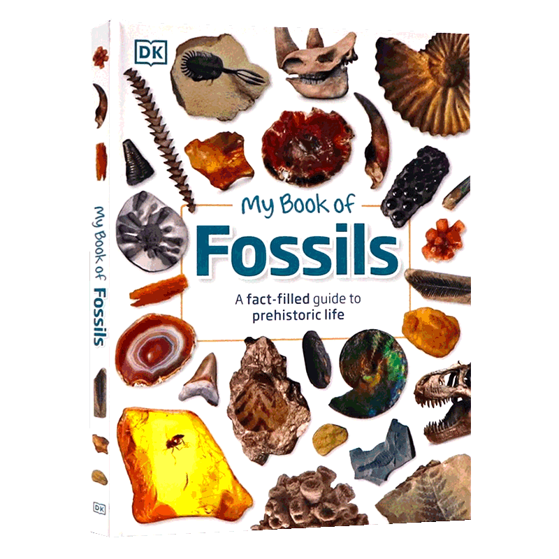 DK我的化石之书 英文原版 My Book of Fossils 一本充满事实的史前生活指南百科 古代动物植物化石视觉指南揭示我们世界的原始历史