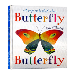 蝴蝶英文原版绘本 Butterfly Butterfly A Book of Colors 儿童阅读昆虫认知小惊喜精装全彩图画洞洞书有立体页Petr Horáček
