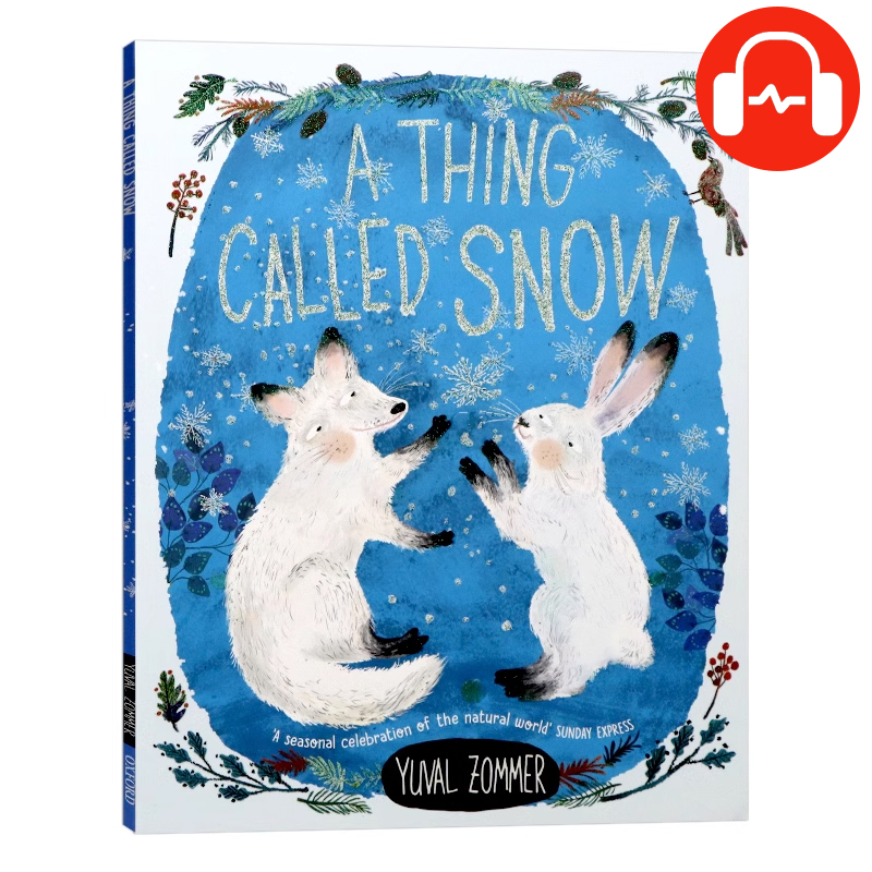 一种叫做雪的东西英文原版