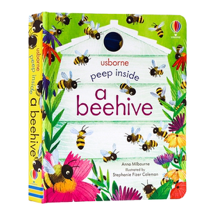 Usborne出品偷偷看里面系列英文原版绘本蜂巢 Peep Inside a Beehive  洞洞书科普纸板书翻翻书蜜蜂启蒙认知图画书益智早教