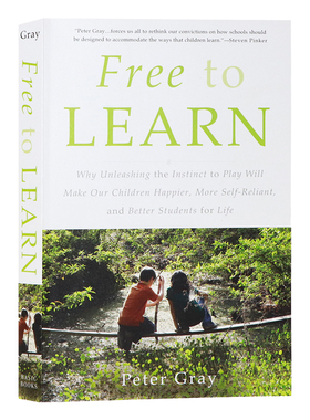 玩耍精神 会玩的孩子真的有出息 英文原版书籍 Free to Learn 家庭教育自我指导的学习英语读物 Peter Gray 学会控制自己的生活