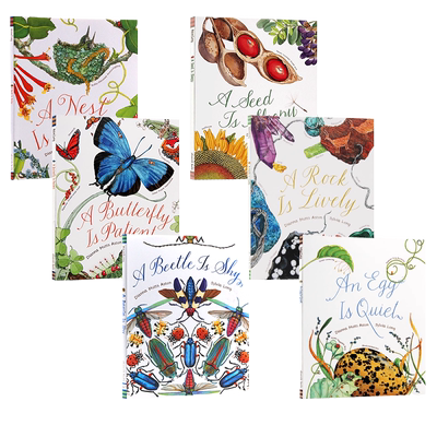 美丽成长生命科普绘本系列6册