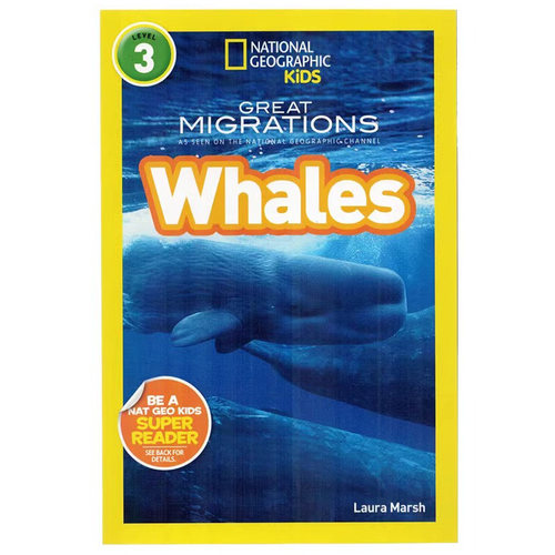 鲸鱼英文原版绘本平装版