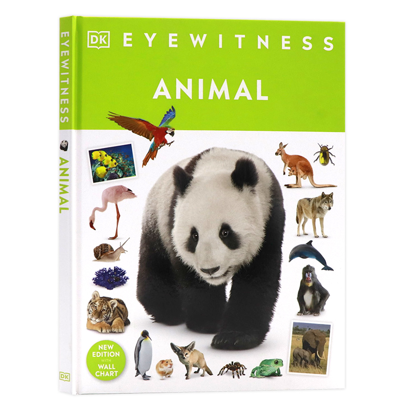 DK百科目击者系列 动物 英文原版绘本 DK Eyewitness Animal 探索动物世界青少年儿童英语科普百科读物精装全彩插图进口书籍