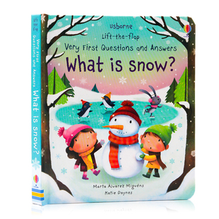 Usborne出版问与答系列 Lift The Flap Questions and Answers What is Snow雪是什么 英文原版绘本 早教科普百科 圣诞主题翻翻书