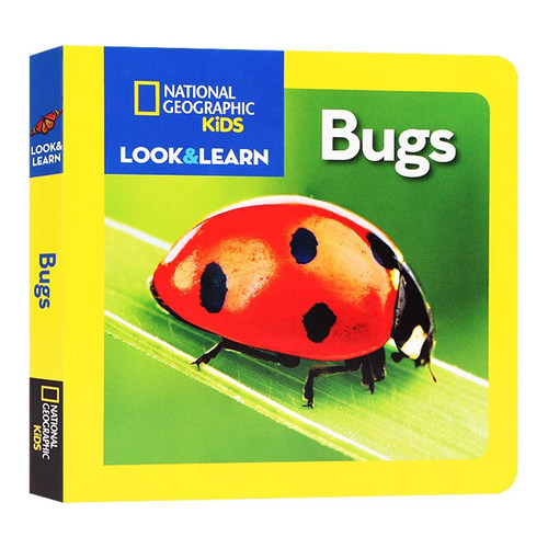 昆虫英文原版纸板书撕不烂