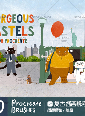 【复古粉彩】procreate笔刷插画图集仿手绘纹肌理干介质涂鸦ST34