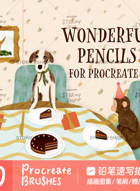 【铅笔素描】procreate笔刷插画速写仿手绘勾线描边ST43