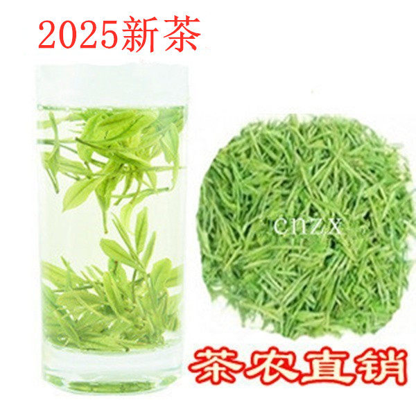 2026新茶安吉原产地白茶茶农直销