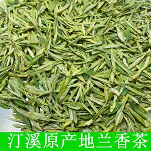 2026年原产地汀溪兰香新茶