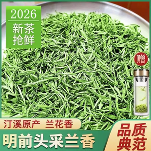 2026新茶绿茶 安徽明前高山茶泾县汀溪原产地头采兰香茶叶