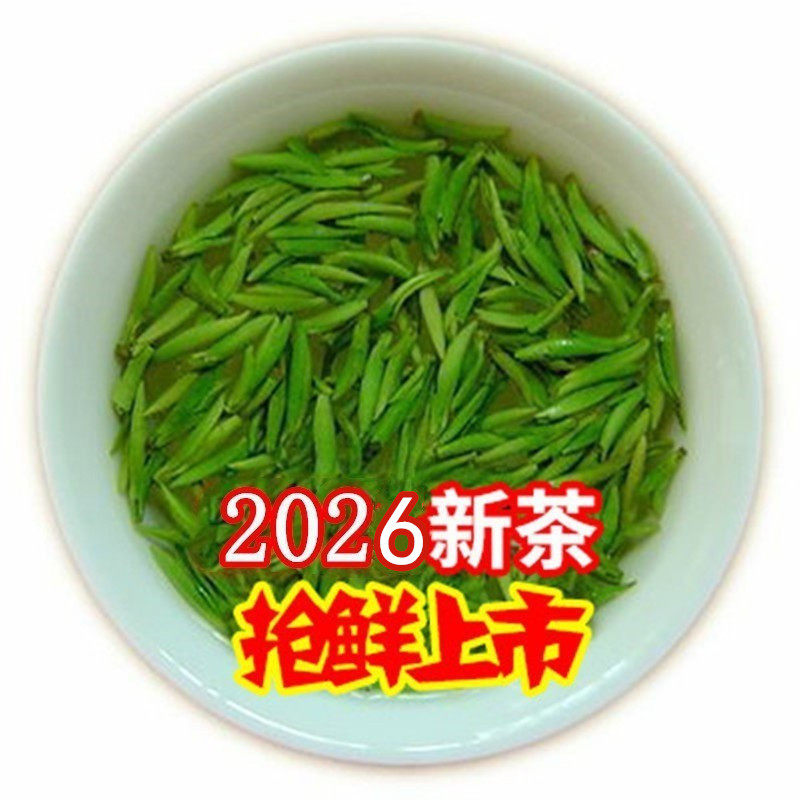 2026年明前头采黄山嫩芽雀舌茶叶