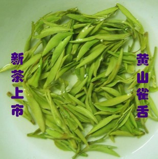 2026年新茶绿茶正宗黄山雀舌 茶叶上市500g包邮