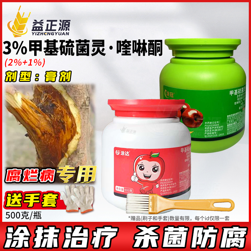 涂冠果树伤口涂抹愈合剂