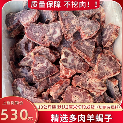 新鲜羊蝎子20斤满肉商用精品