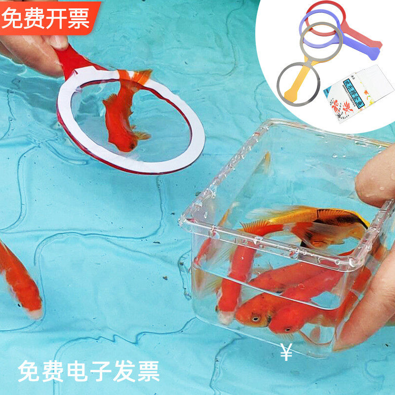 纸网捞金鱼夜市摆摊项目地摊货活动用品抖音快手货源广场抓鱼玩具,玩具/童车/益智/积木/模型,创意/整蛊玩具,淘宝优惠券,粉丝福利购,淘宝优惠卷