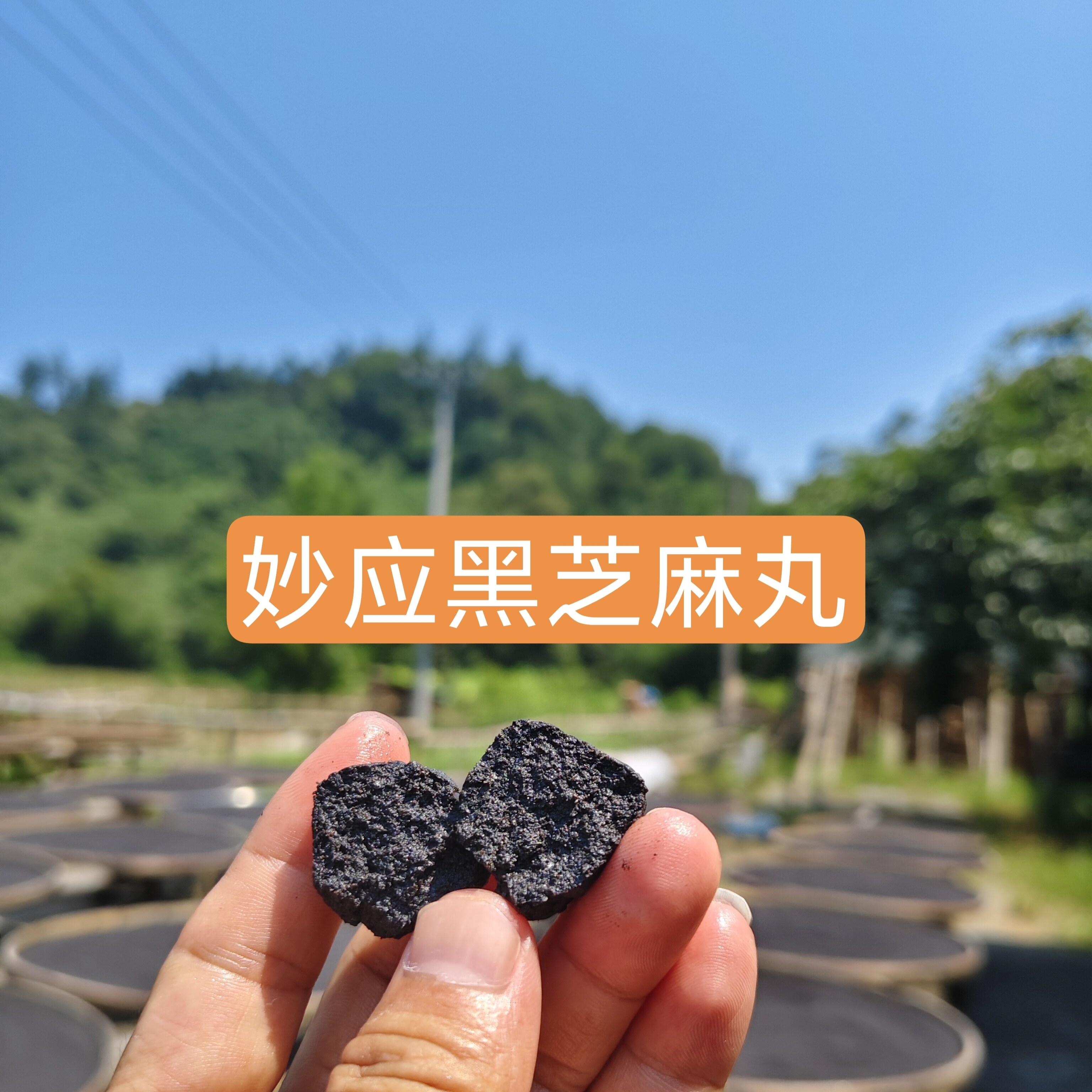 江西道地,真正九蒸九晒,一斤装50颗,妙应黑芝麻丸,数量有限