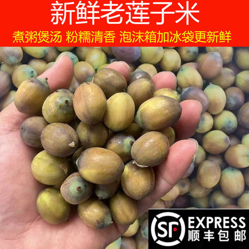 湖南特产现摘老莲子4斤