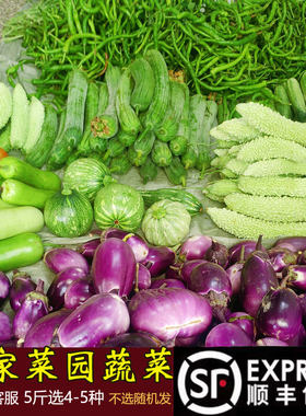 当季自种小菜农家蔬菜组合自选