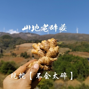 【山地老碎姜】云南高山正宗小黄姜磕断的碎姜 【不会太碎 很辣】
