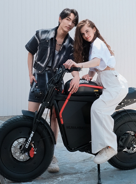 Himoto黑武士复古助力男电动自行车成人女越野锂电瓶单车踏板电摩