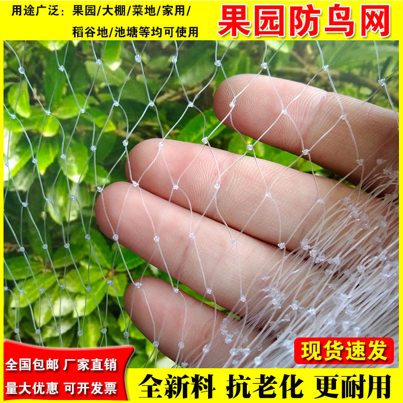 防鸟网阳台窗户果园鱼塘防护天网