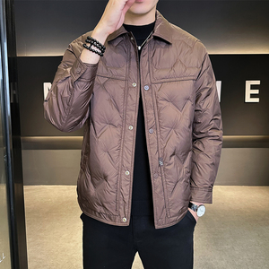 新标90绒 冬季轻薄羽绒服男士时尚保暖外套男装B320-5562-P195图片