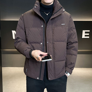 标50绒 羽绒服男士2025新款时尚保暖冬季外套男B320-6635-P225图片